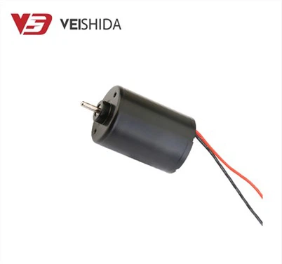 3650 DC borstelloze motor