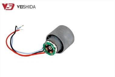 Draaiende föhn borstelloze gelijkstroommotor